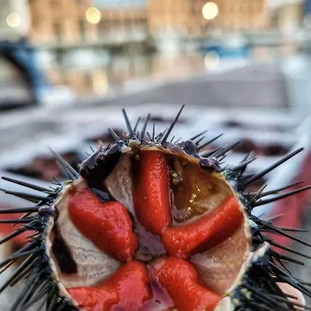 A Mola di Bari