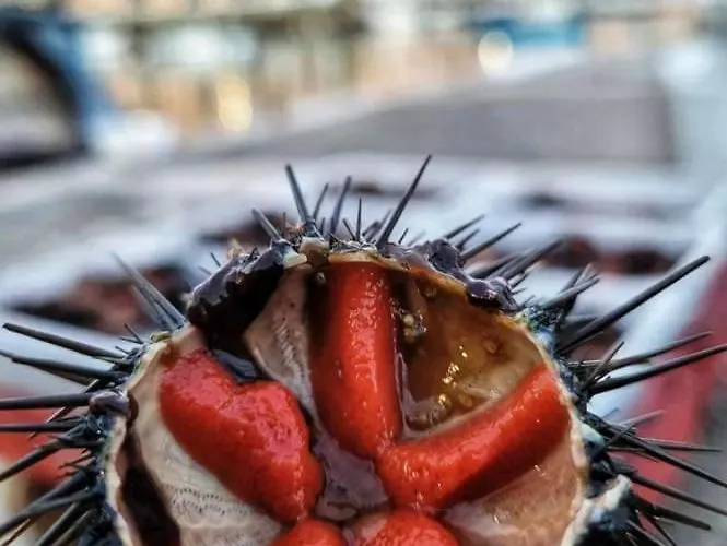A Mola di Bari